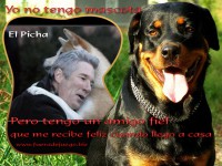 /album/mi-mejor-amigo-el-perro/miamigo-jpg/